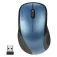 Speedlink Souris sans fil Kappa