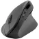 Speedlink Piavo Wireless Ergonomic Mouse