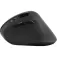 Speedlink Piavo Wireless Ergonomic Mouse