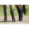 Equitheme Tendoneres 600D Shipping