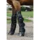 Equitheme Tendoneres 600D Shipping