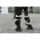 Equitheme Protectores de menudillo Boa