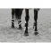 Equitheme Boa Kotledsboots