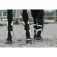 Equitheme Tendoneres Boa