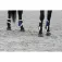 Equitheme Tendoneres Boa