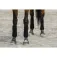 Equitheme Benes Polo