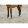 Equitheme Benes Polo