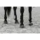 Equitheme Tendoneres