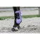 Equitheme Tendoneres