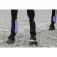 Equitheme Sehnenstiefel