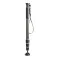 Gitzo Monopode GM2542 Serie 2