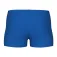 Arena Team Solid simshorts