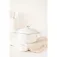Masterclass Cassola 2.5L