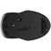 HP 250 mouse