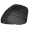 HP Mouse ergonomico wireless 920