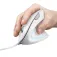 Trust Souris ergonomique Verto