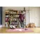 Karcher DS 6 vacuum cleaner