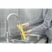 Karcher WV 6 Plus Damprenser