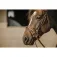Eric thomas Work bridle
