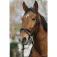 Norton equestrian Capezza Training