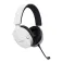 Trust GXT 491 wireless gaming headset