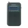 Daewoo DW1008GR portable radio