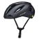 Specialized Casco Search