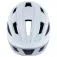 Specialized Casco Search