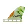 Koalition Side Pineapple Futures Small 핀