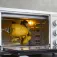 Cecotec Bake And Toast 3090 Bordsugn