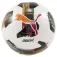 Puma Orbita 6 Ms fodbold