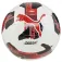 Puma Orbita 6 Ms football ball