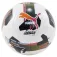 Puma Orbita 7 Ms Fußball