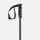 Faction skis Prodigy poles