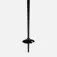 Faction skis Prodigy poles