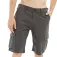 Hydroponic Clover Rs shorts
