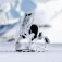Nidecker Flow Nexus snowboardbindingen