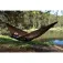 Cocoon Ultralight hangmat