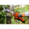 Stocker ALL-ROUNDER E-100 UC Astsäge