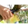 Stocker Garden 20 pruning scissors