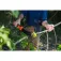 Stocker 300 MC Billhook