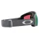 Oakley Flight Tracker M ski goggles