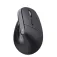 Trust Bayo+ Wireless Ergonomic Mouse