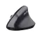 Trust TM-270 Wireless Ergonomic Mouse
