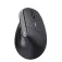 Trust TM-270 Wireless Ergonomic Mouse
