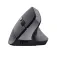 Trust TM-270 Wireless Ergonomic Mouse