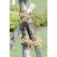 Stocker Cuerda de coco 100 m