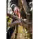Stocker Tornado 180 Pruning Saw