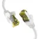 Efb 1.5 m EC020200020 CAT6a network cable