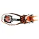 Petzl Grampons Lynx